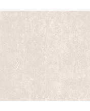 Granite Floor Tile TS2-606